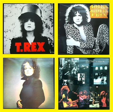 Marc Bolan T Rex Glam Rock Lot Of 4 LP S Diverse Catawiki