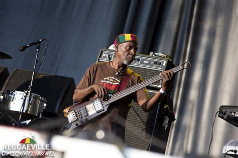 Photos Bunny Wailer In Pessac France Domaine Universitaire