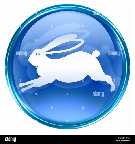 Rabbit zodiac sign chinese hi-res stock photography and images - Alamy