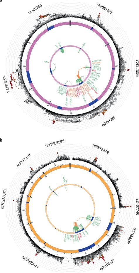 Genomic Risk Loci Eqtl Associations And Chromatin Interactions For