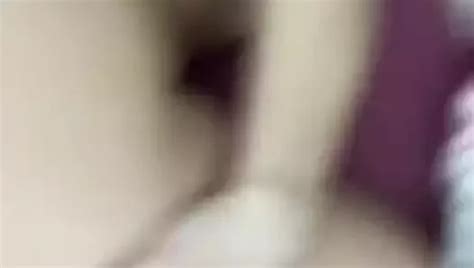 Plavagazella Porn Creator Videos Free Amateur Nudes Xhamster