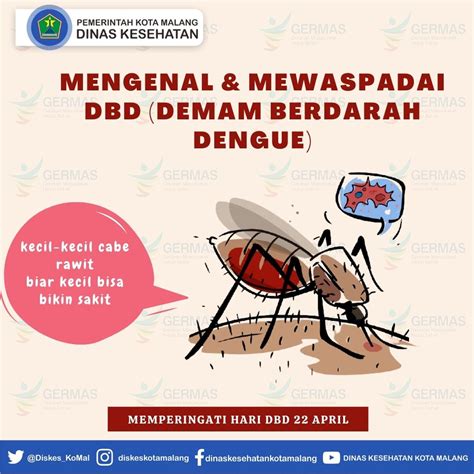 Mengenal Dan Mewaspadai Demam Berdarah Dengue DBD Dinas Kesehatan