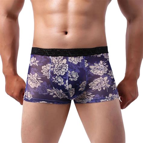 TENSUNNYD Mens Sexy Underwear Translucent Briefs Panties Low Waist