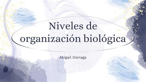 Solution Niveles De Organizaci N Biol Gica Studypool