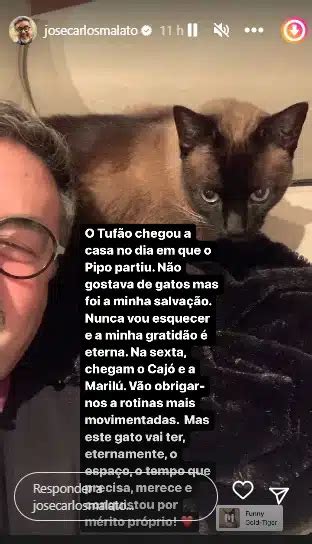 José Carlos Malato faz agradecimento especial ao gato A minha