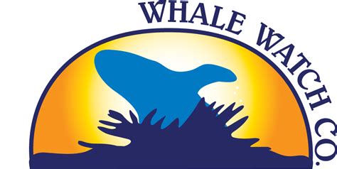 Bar Harbor Whale Watch Co. | Wildlife & Sightseeing Cruises