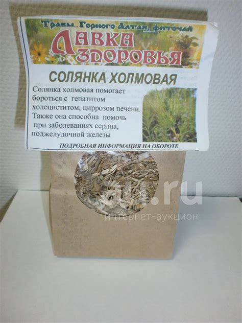 Солянка холмовая растение - 75 фото