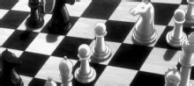 Chess GIF - Chess - Discover & Share GIFs