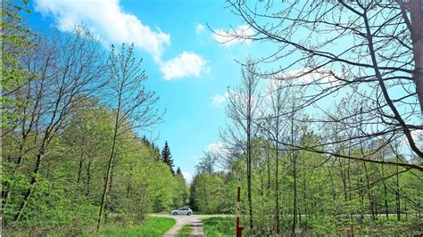 Windkraft In Renningen Stadtwerke T Bingen Sollen Den Windpark Bauen