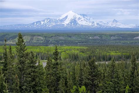 Mount Blackburn, Alaska - WorldAtlas