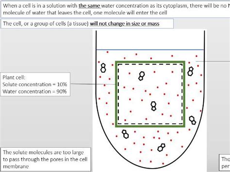 Aqa Gcse Biology Transport Across Membranes Osmosis Teaching Resources