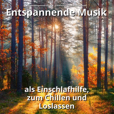 Entspannende Musik Zur Beruhigung Song And Lyrics By