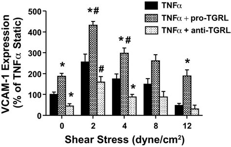 Shear stress modulates VCAM 1 expression in response to TNF α and