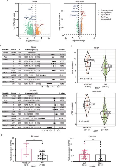 HPSE Expression Level Is Significantly Higher In BRAF V600E Mutant