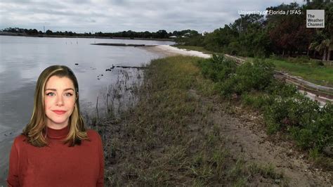 'Living Shoreline' Reduced Hurricane Damage - Videos from The Weather ...