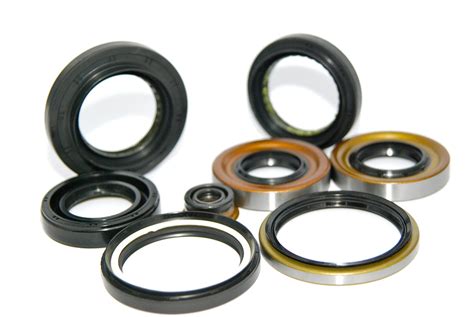 Rotary Shaft Seals / Oil Seals / Cassette Seals