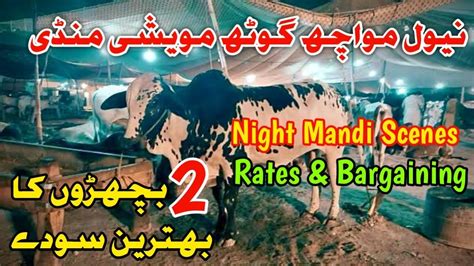 Naval Moach Goth Mandi Bachro K Bhatreen Soda Youtube