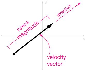 What Is Velocity In Physics