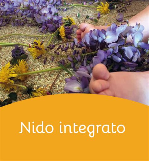 Nido Integrato Scuola Dell Infanzia Santa Maria E Nido Integrato