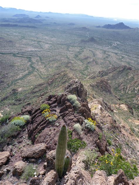 The Summit View Southeast Pinkley Peak Organ Pipe Cactus National