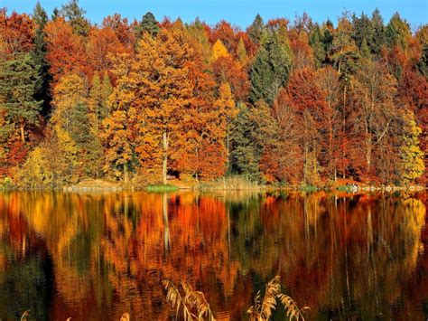 14 amazing places to see the autumn leaves in Europe