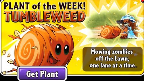 Plants Vs Zombies 2 Arena Plant Of The Week Tumbleweed Best Strategy