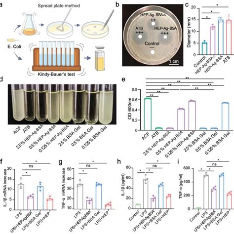 In Vitro Antibacterial Property And Inflammationmodulating Properties