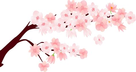 Bunch Of Flowers With Cherry Blossom Cartoon Character 19841579 Png