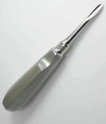 Dental Luxating Root Elevator Mm Curved Chisel Tip Tooth Stainless Ce