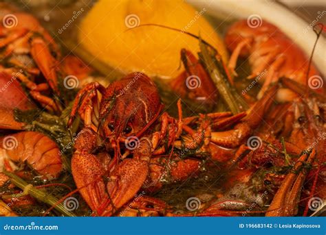 Cooking Freshwater Crayfish in a Pan. Crayfish Boil in Boiling Water ...