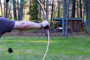 Beginners Guide To Shooting A Longbow Accurately