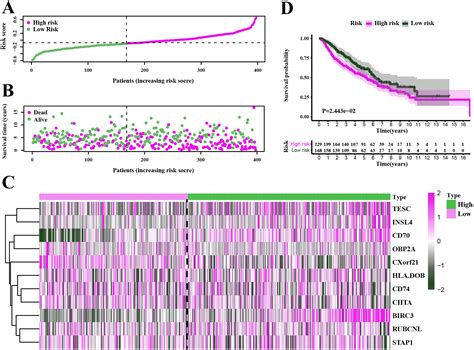 Identification Of An Immune Prognostic Gene Signature For Lung