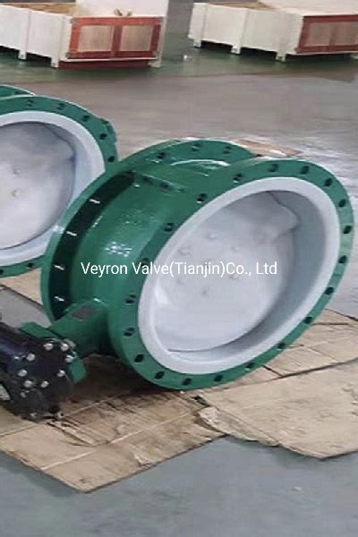 Dn Ansi Lb Din Bs En Pn Softback Ptfe Epdm Seat Di Ductile