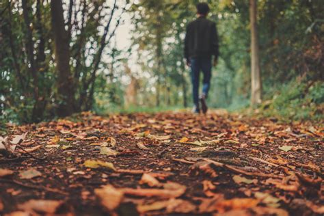 Bildet Mann Tre Natur Skog Gress Villmark Person Anlegg Bakke