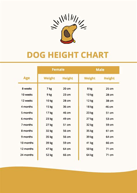 Puppy Height Chart | Portal.posgradount.edu.pe