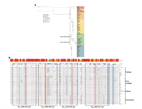 Molecular Characteristics Of The VP2 Gene A Phylogenetic Analysis