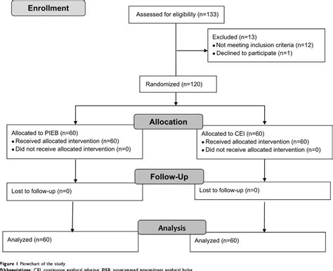 Figure 1 From Programmed Intermittent Epidural Bolus In Comparison With