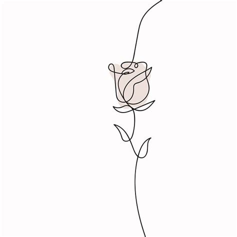 Rose Blume Linie Kunst B Hmische Kostenloses Bild Auf Pixabay