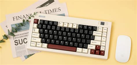 Epomaker Mechanische Tastatur – EPOMAKER-DE