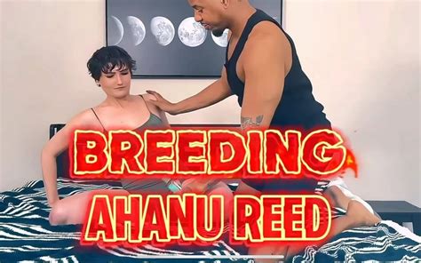 Ahanu Reed Porn Videos Porn Star Sex Scenes Xhamster