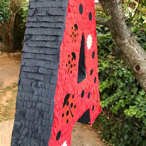 Letter Pinata Letter A Pinata Ladybug Letter Pinata Spring Etsy