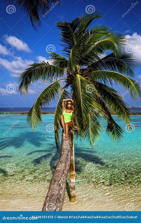 Beautiful Woman In A Bikini On A Palm Tree On The Paradise Beach Of Maldives Model Posing In A