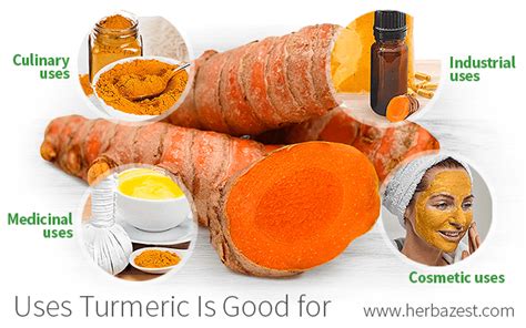 Uses Turmeric Is Good For HerbaZest