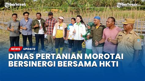 Dinas Pertanian Morotai Sinergi Bersama Hkti Maluku Utara Fokus