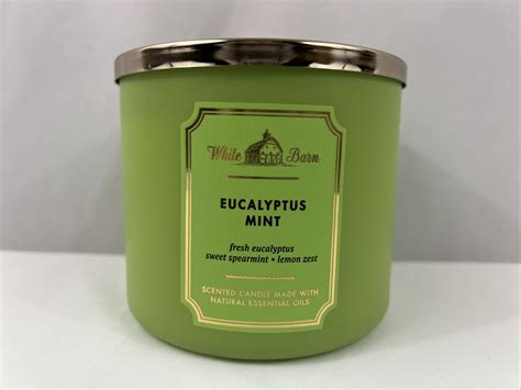 Bath Body Works Stress Relief Eucalyptus Mint Wick Candle Essential