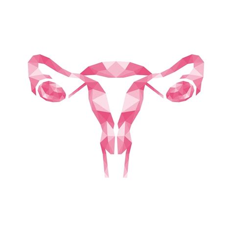 Premium Vector Geometric Women Uterus And Ovary Icon Vector Illustration