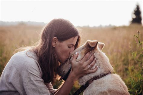 Día Nacional Del Perro En Estados Unidos Por Qué Se Celebra El 26 De