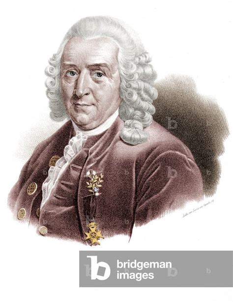 Carolus Linnaeus Quotes