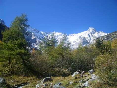 Cabane De L A Neuve Pays Du Saint Bernard