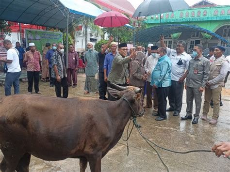 Sambut Idul Adha Wali Kota Sorong Serahkan 30 Hewan Kurban SORONG POS